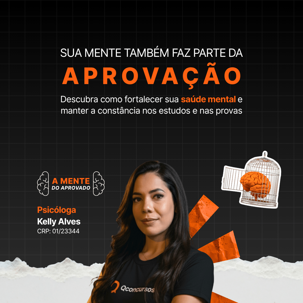 Imagem Apoio 2 LP mente do aprovado-reduced